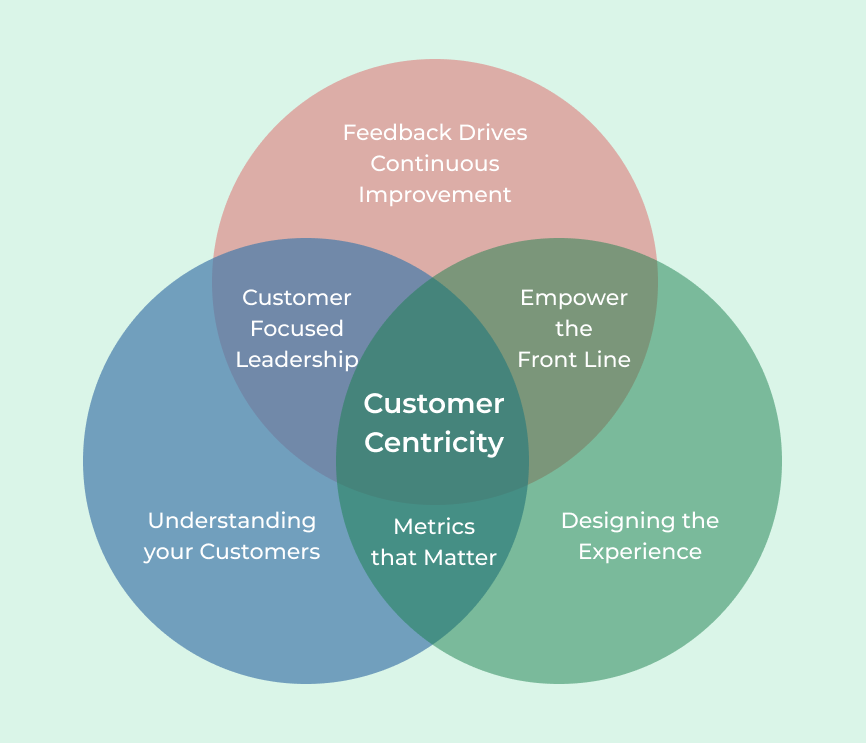 Company Culture and Customer Focus