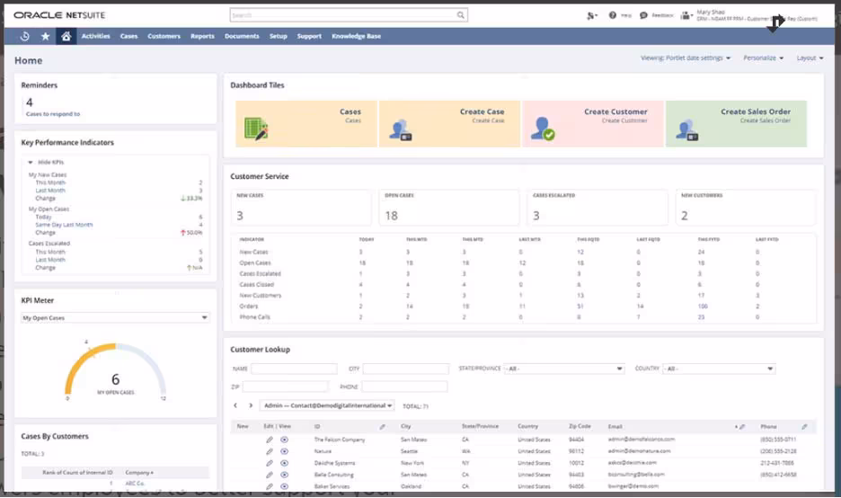 NetSuite CRM Sales Tracking Software